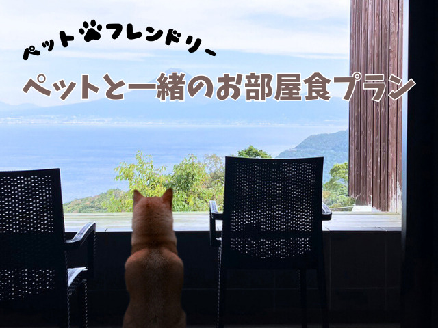 【2024年9月1日〜】ペットと一緒にお部屋食を楽しめるプランがスタート🐾